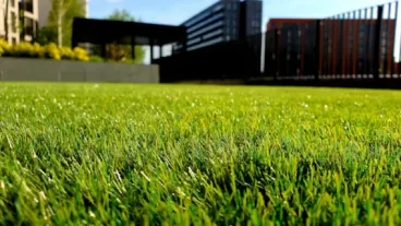Landscaping marketing